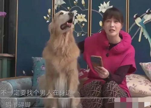 黄安爆料周海媚身世视频,一段尘封的往事 第1张 黄安爆料周海媚身世视频,一段尘封的往事 第1张